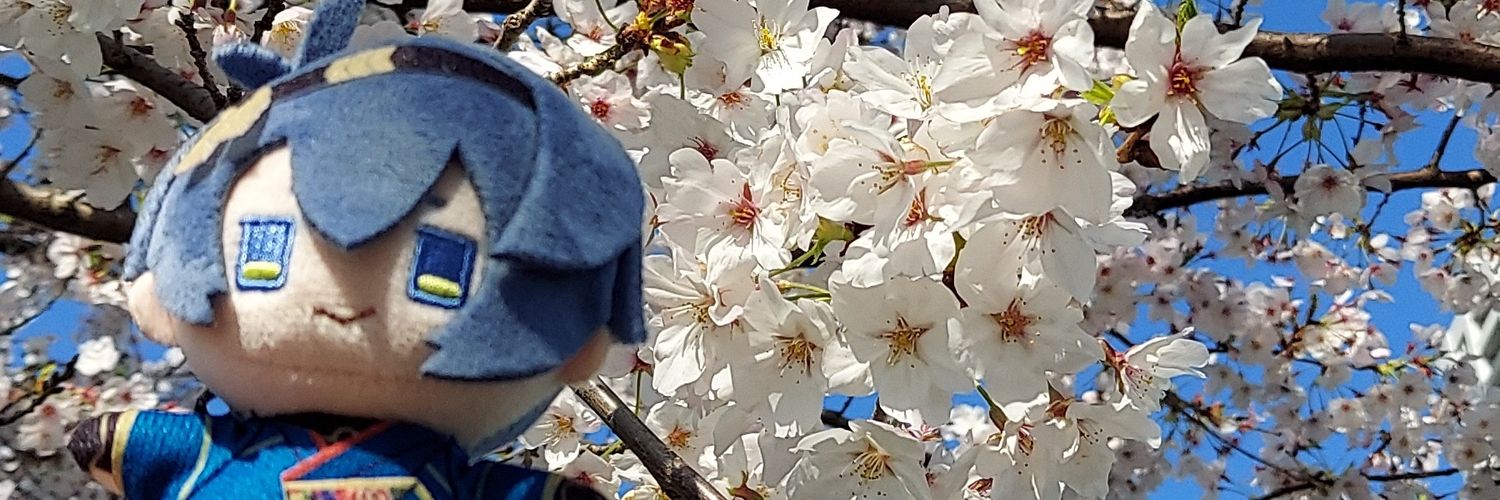houjousk's profile banner image