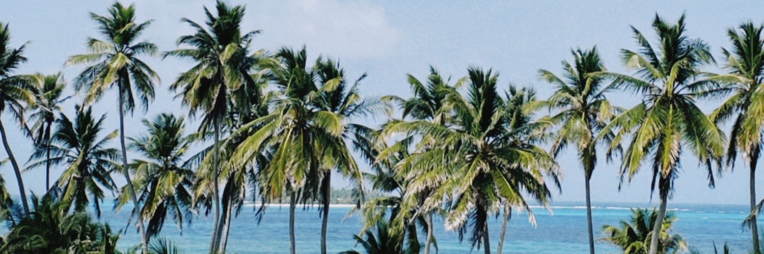 dandiazma's profile banner image