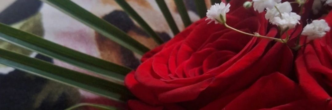 𝙂𝙖𝙗𝙧𝙞𝙚𝙡𝙖 banner