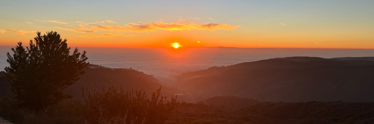 Two Foot Hurdles banner