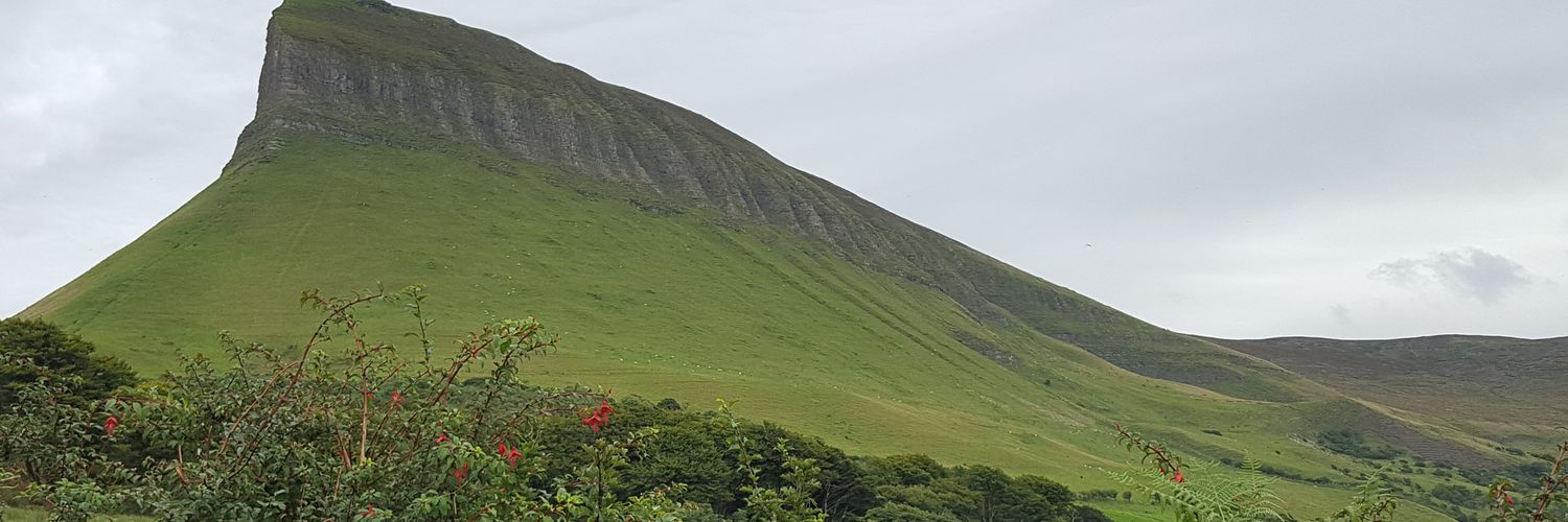 bayobell's profile banner image