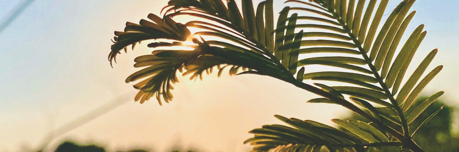 daidehu1's profile banner image