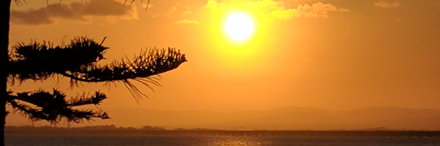 Jingstarr's profile banner image