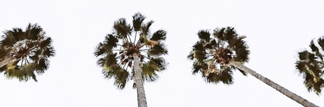 AllyHardy2's profile banner image