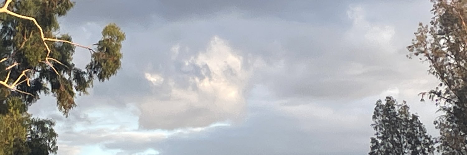racquelhonore's profile banner image