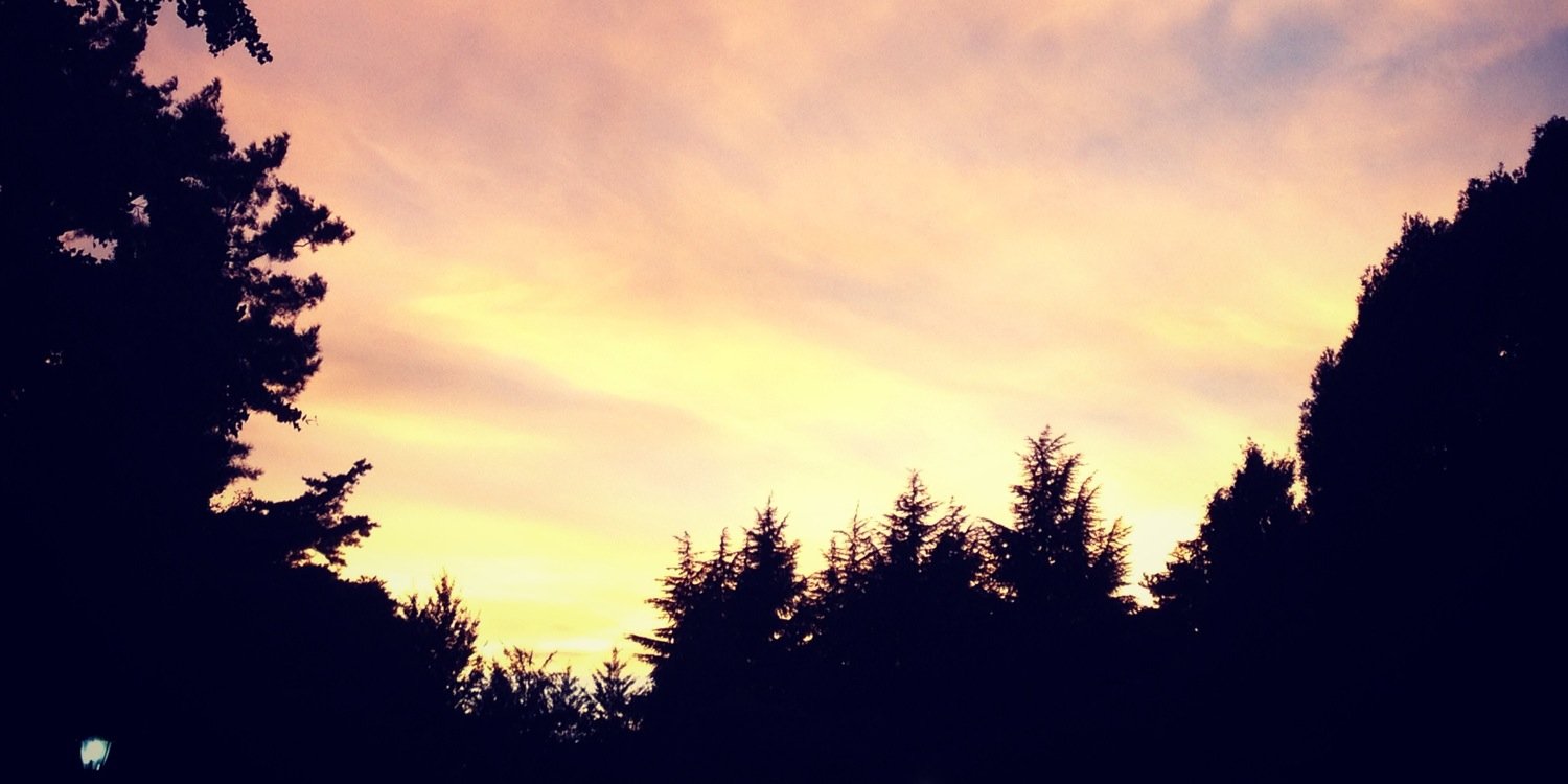 littleorange7's profile banner image
