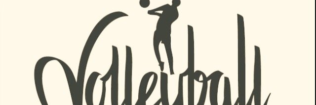 STC_Volleyball's profile banner image