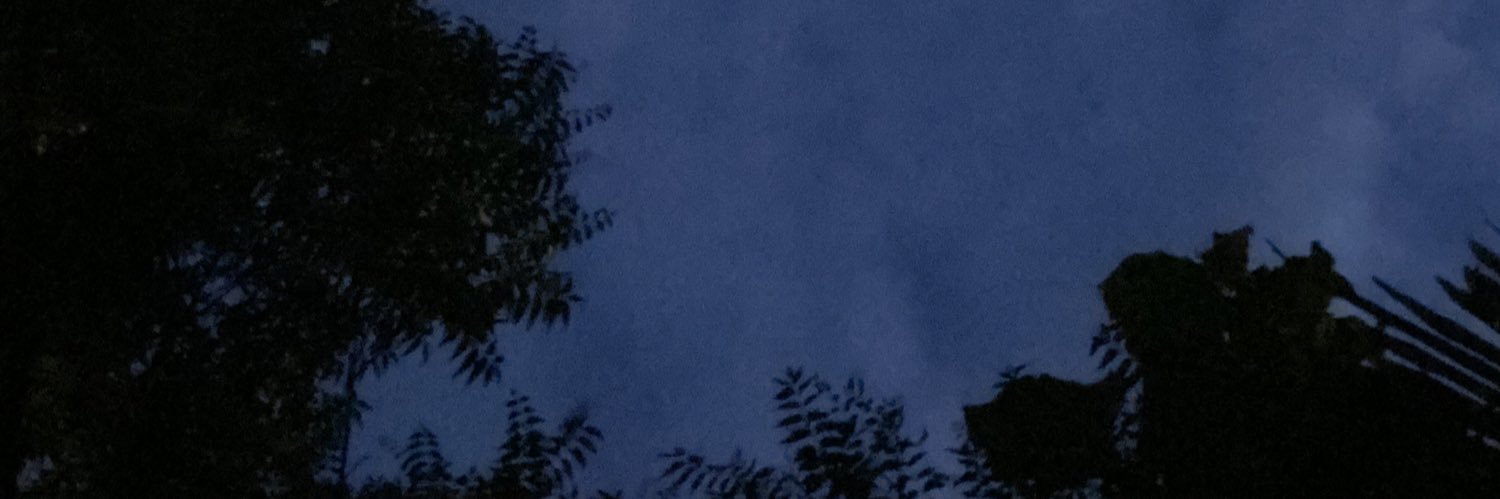 itsrachel244's profile banner image