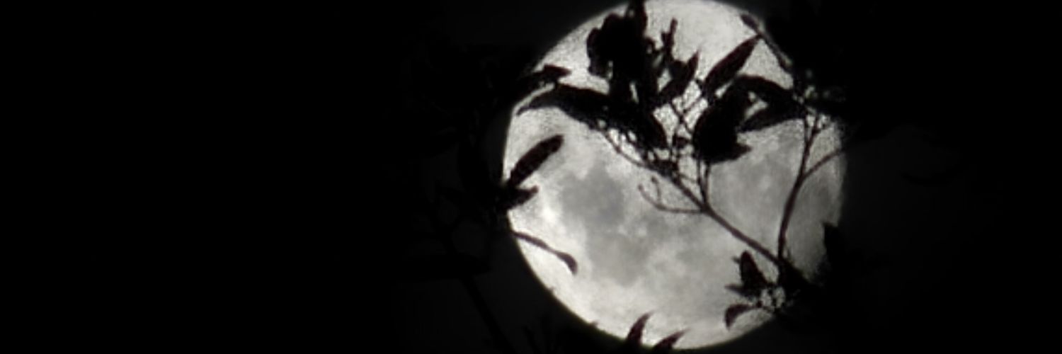 __slorac__'s profile banner image