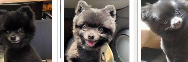 iamjery Profile Banner