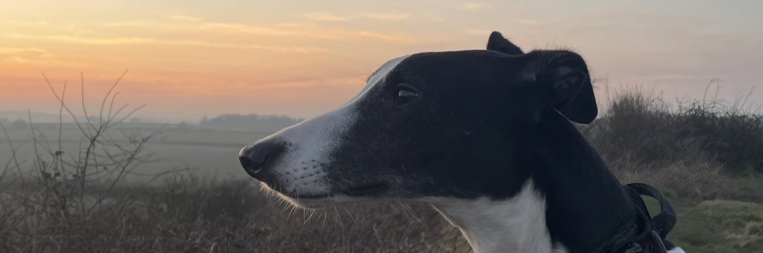 SamMcC1658's profile banner image