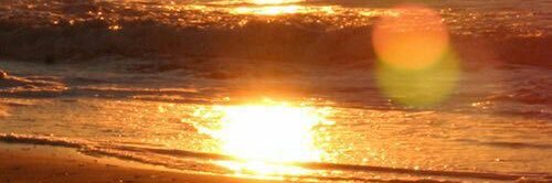 bee_siblo's profile banner image
