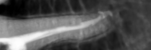 dpainkiller's profile banner image