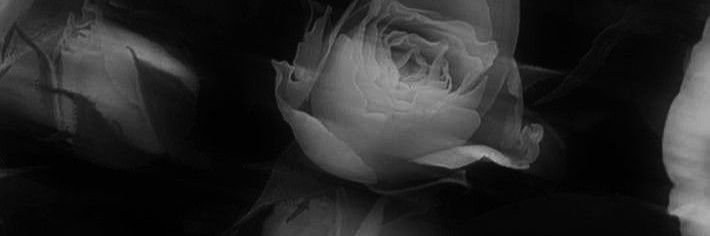 kastrile's profile banner image