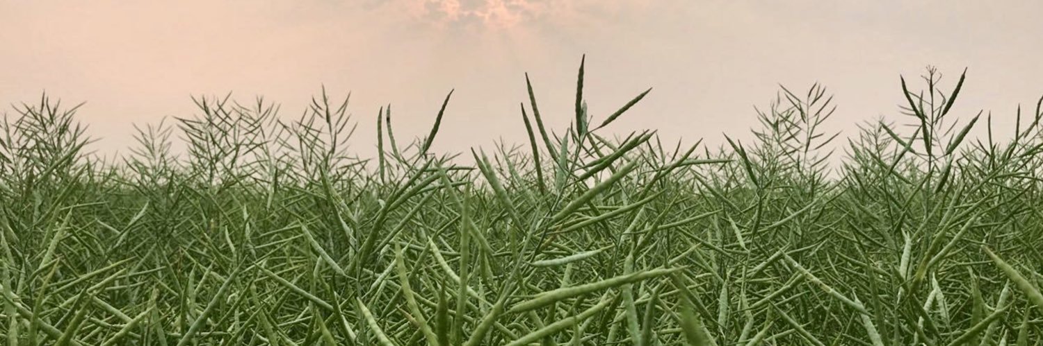 Guy Keeler PAg banner