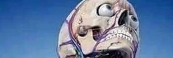 @uthentic_ verifïed banner