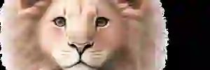 mgpleon's profile banner image