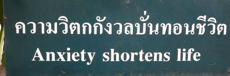 เดือน ๙ banner
