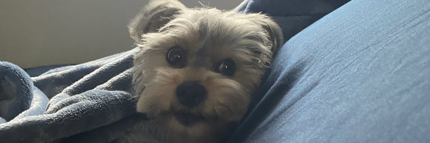 Anggelo Pezo banner