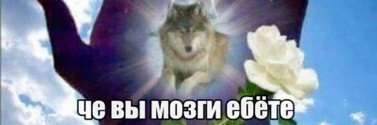 тудудуд banner