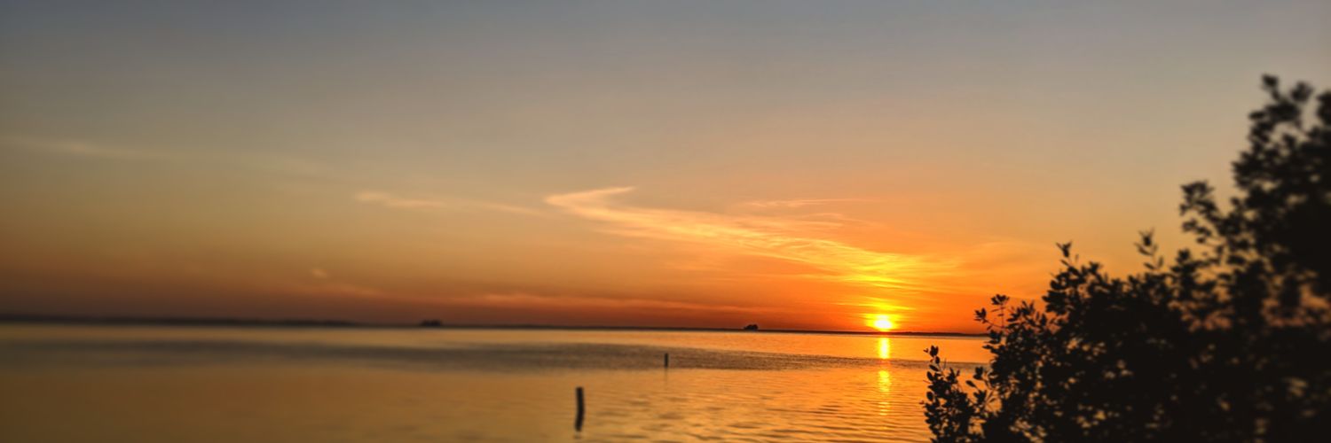 NIMBOROS_'s profile banner image