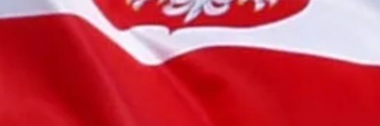 Młodzi Wykształceni Konserwatywni. banner