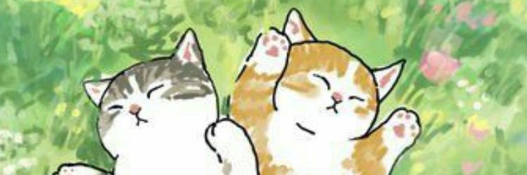 nneyoou's profile banner image