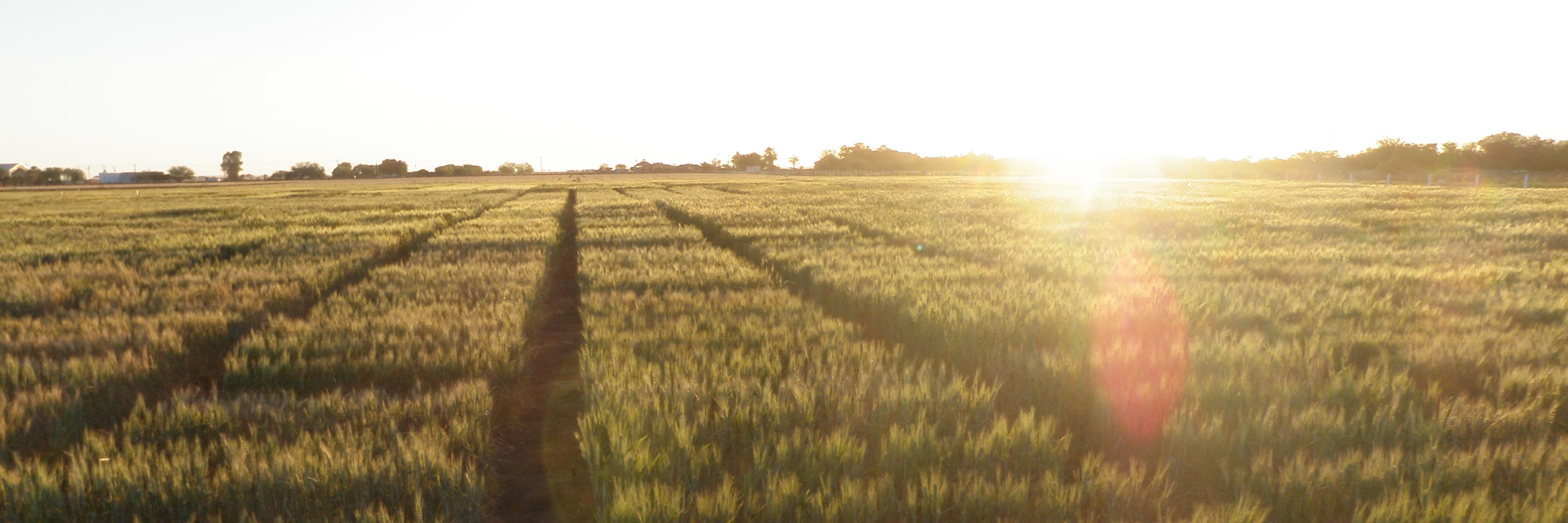 AgriKIND's profile banner image