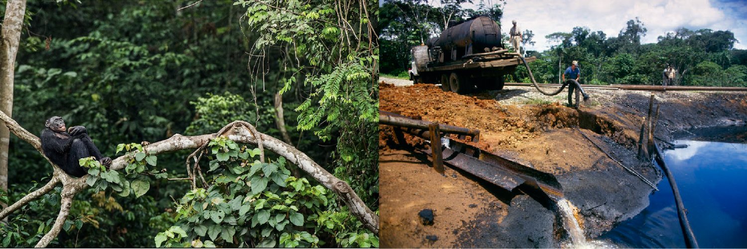 RedemptionDAO (🌴,🌴) banner