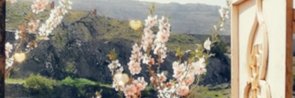 wef1418's profile banner image