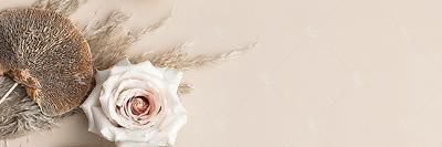 _karinajasmine's profile banner image