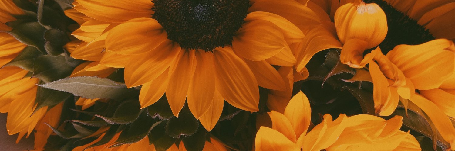 Criznarvaez's profile banner image