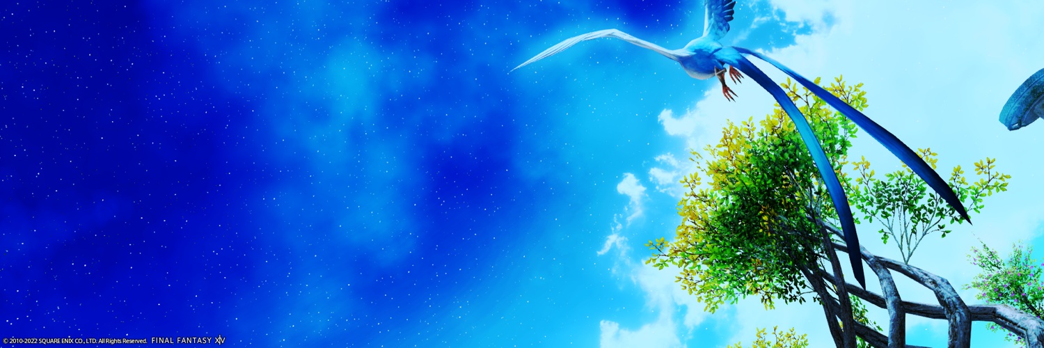 m3cty's profile banner image