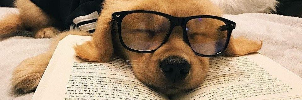 valllI__'s profile banner image