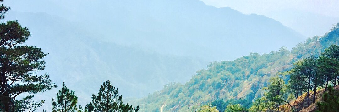 _wanderina's profile banner image