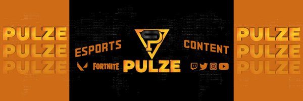 Team Pulze Profile Banner