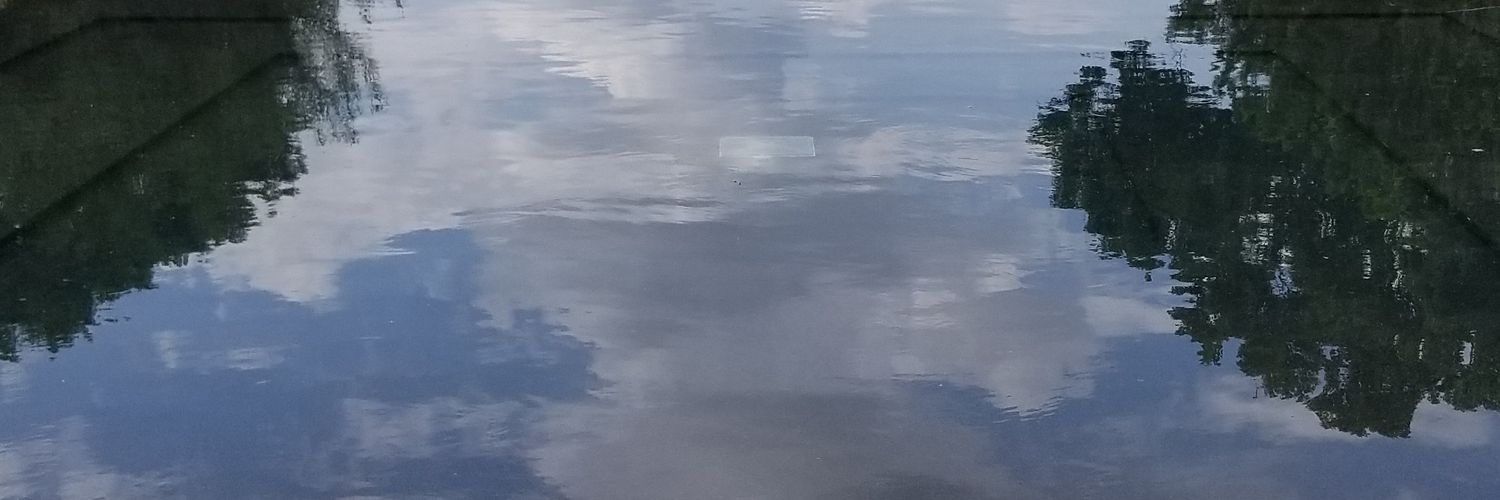 Megan_Doyle1's profile banner image