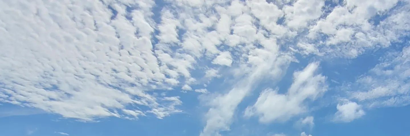 ZAGG banner
