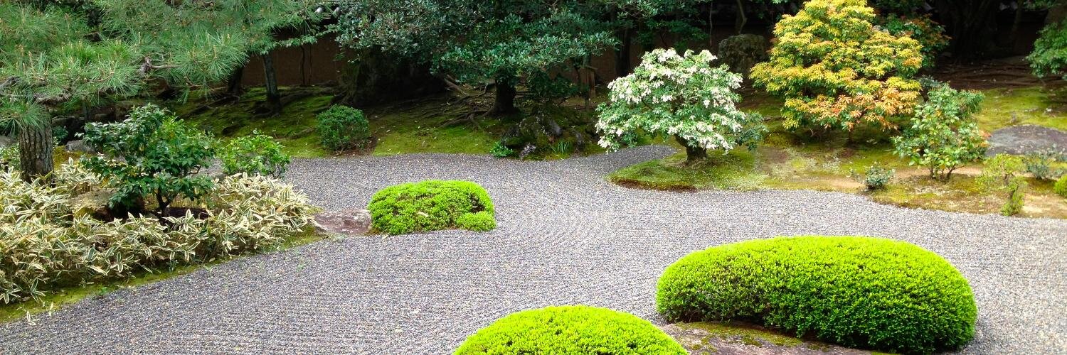 Jack Orin Spilberg banner