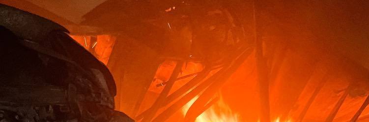 Dg_Dojo banner