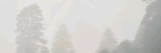 Ꮢeginald ᴀ. ɮlack ⋆* banner