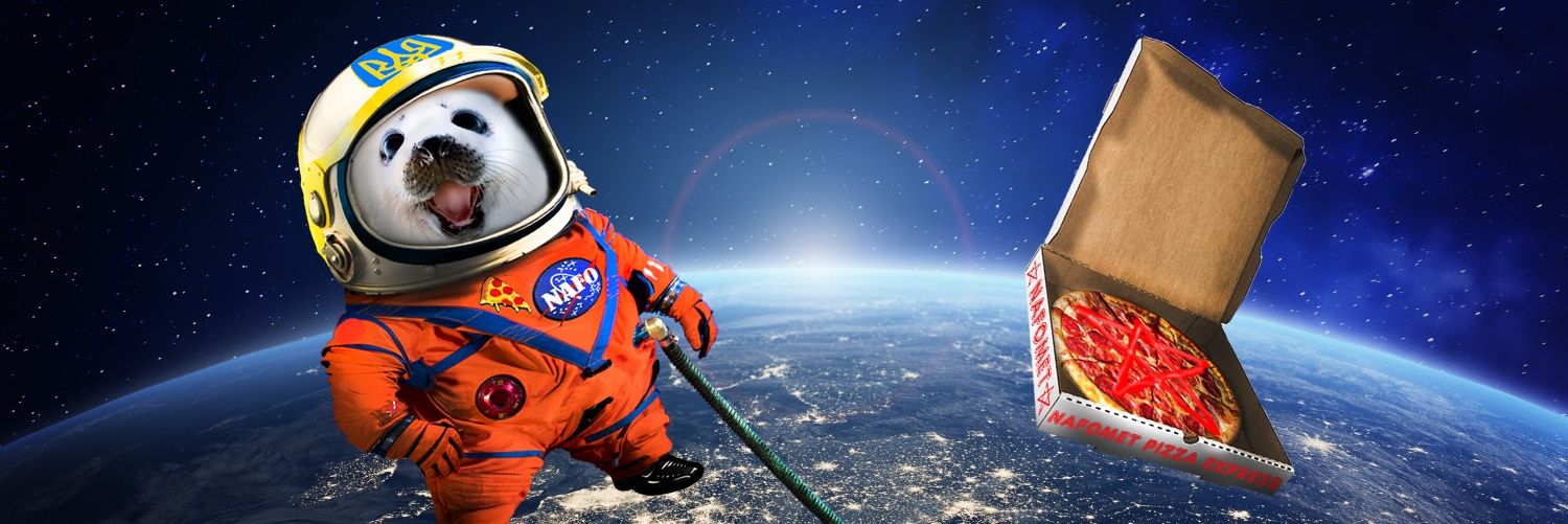 N A F O Sealstronaut 🦭🇺🇦's banner