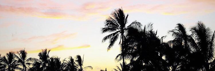 bmiiills's profile banner image