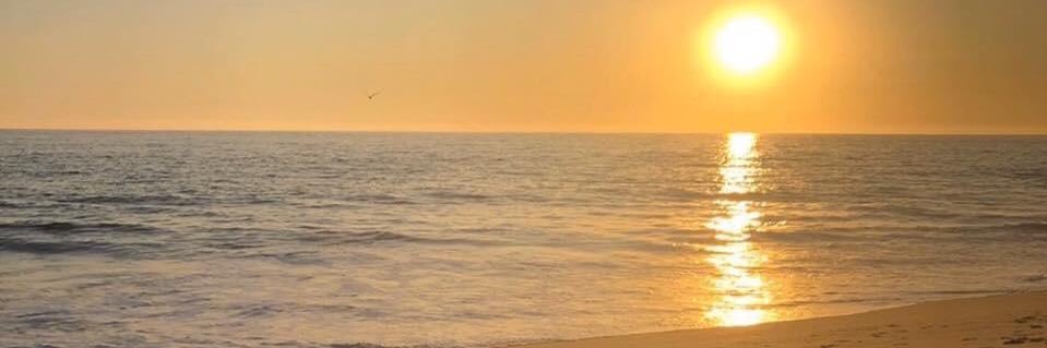 MsLauraSerna's profile banner image