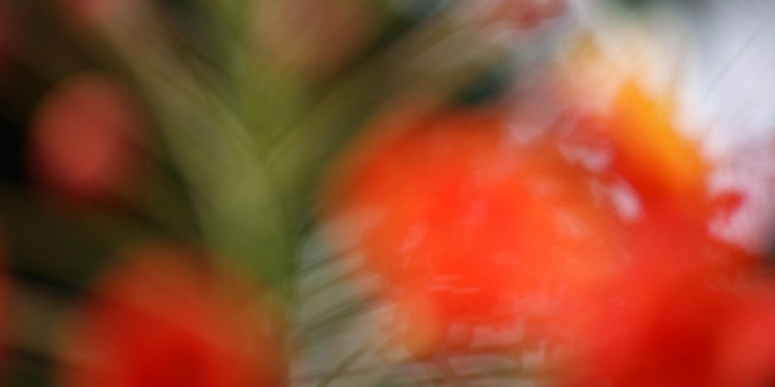 Scott McFarlane banner