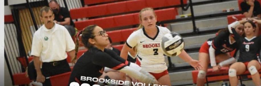 Brookside volleyball banner
