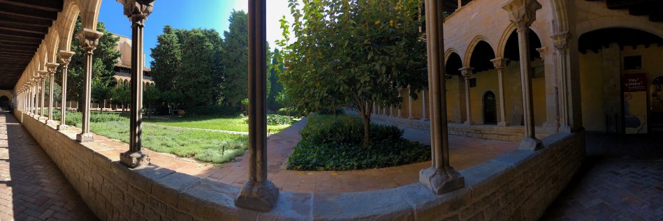 Esther Limón banner