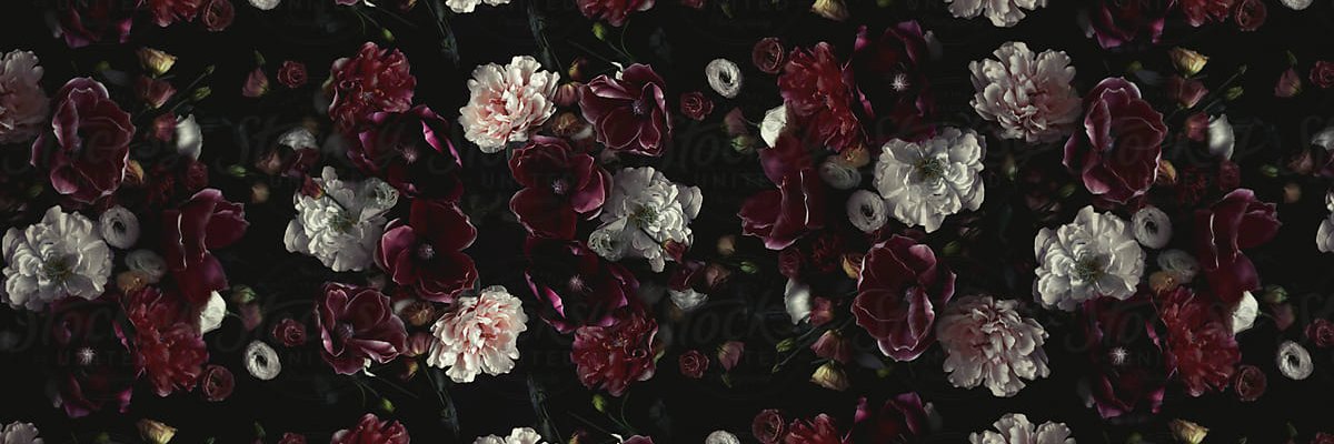 RavenTulx's profile banner image