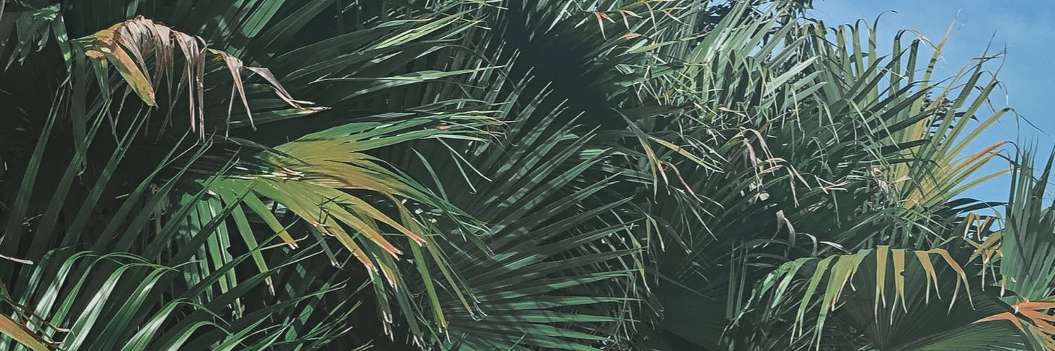 𝐒𝐢𝐞𝐫𝐫𝐚 🍉 banner