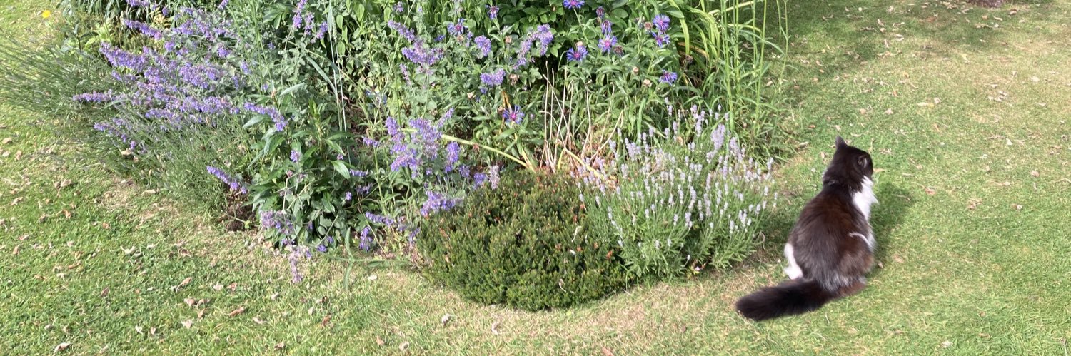 Elma & Rupert Dennis banner